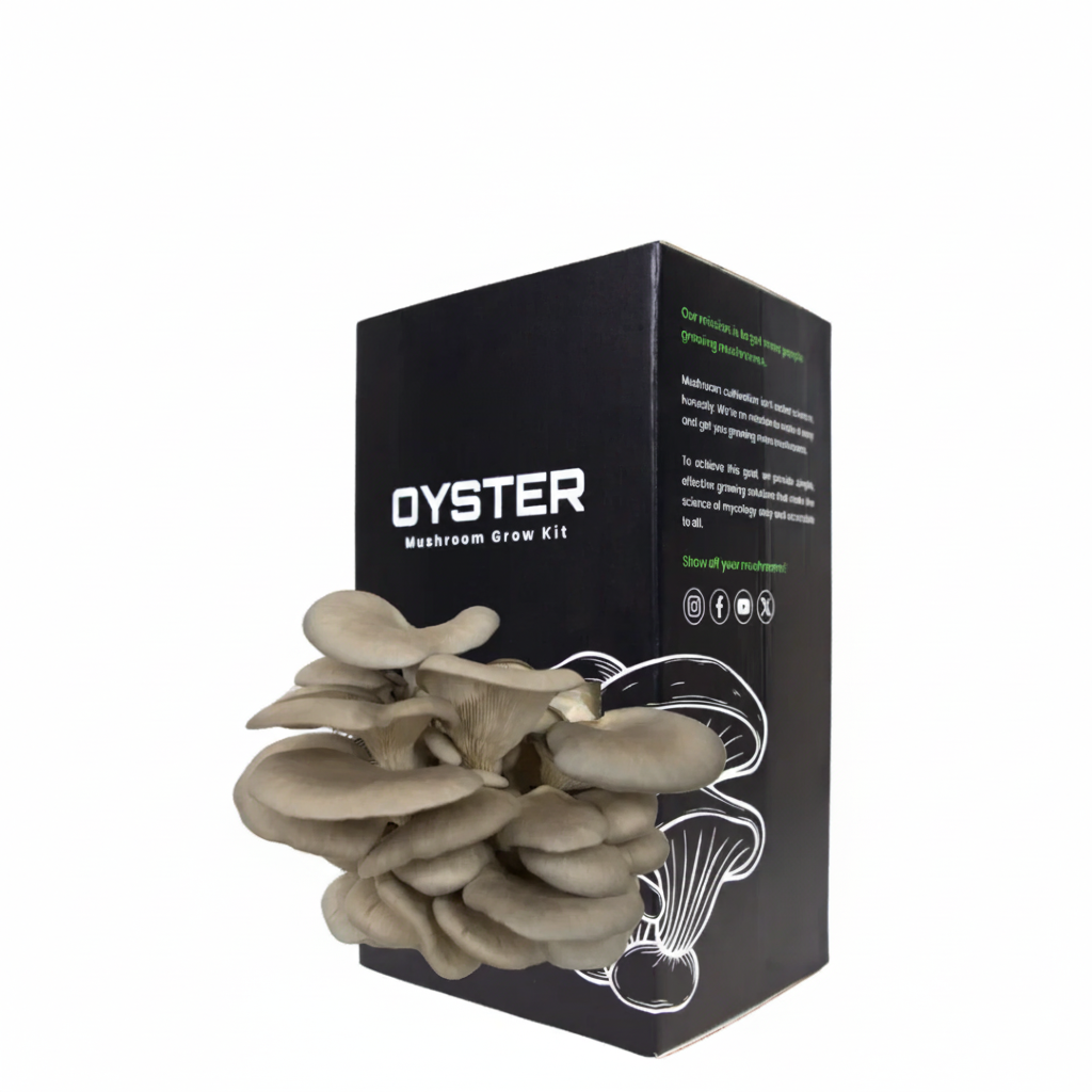 blue-oyster-mushroom-grow-kit Blue Oyster Mushroom Grow Kit
