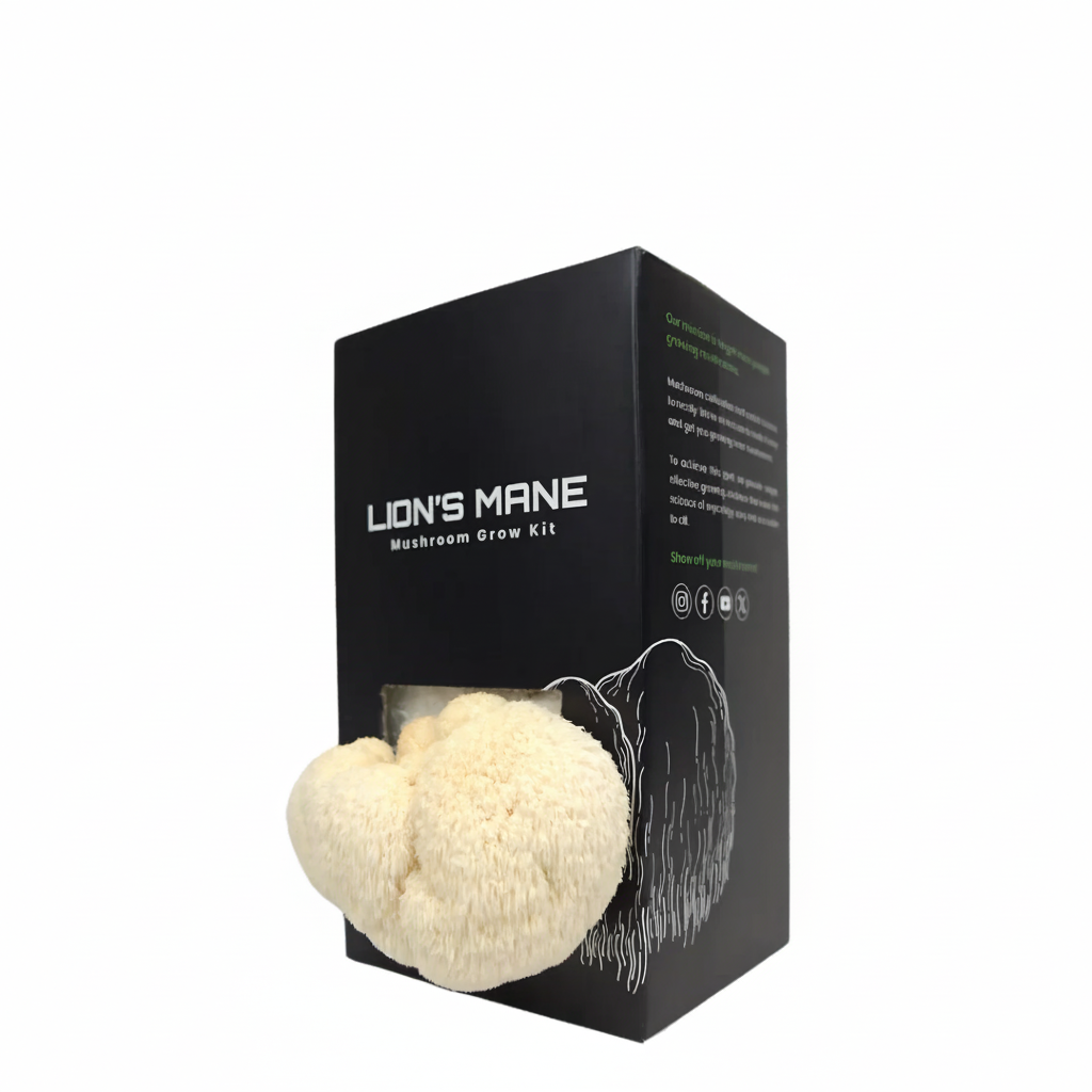 lions-mane-mushroom-grow-kit Lion's Mane Mushroom Grow Kit