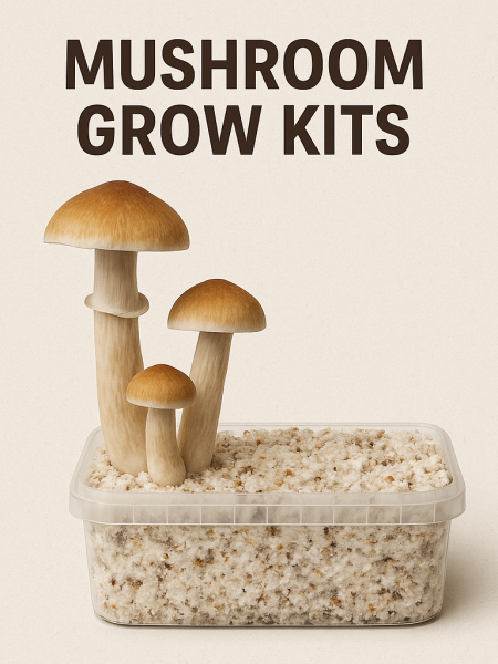 Mushroom Grow Kits