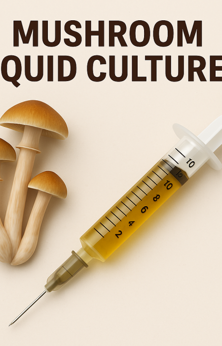 Mushroom Liquid Cultures